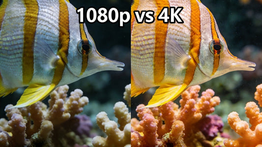 プロジェクターの解像度論争：1080p vs 4K、Aestiquoが最適な解決策を提示