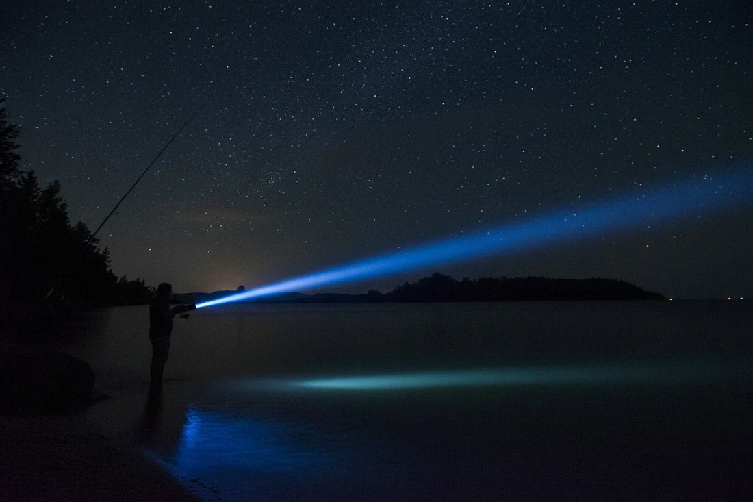 夏の夜釣りを快適に｜防水・集魚灯・手元照明の使い分けができる懐中電灯選び方ガイド