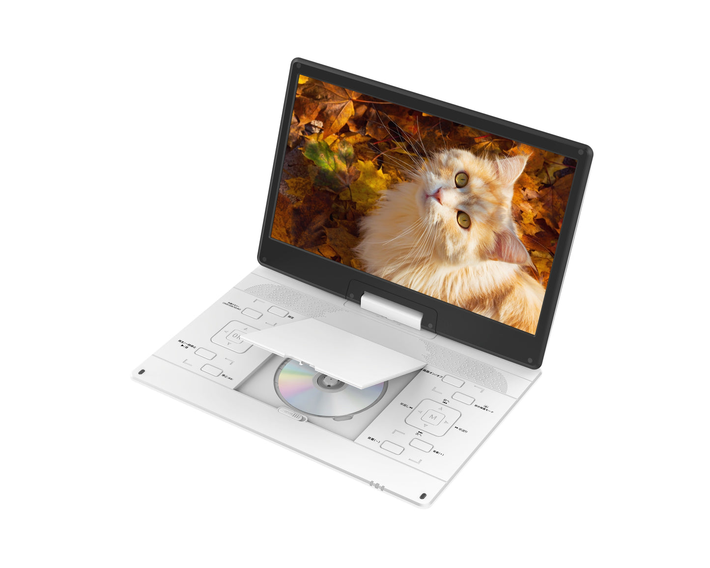 Aestiquo PD156 接続端子｜USB SDカード AV入出力 イヤホンジャック DVDプレーヤー